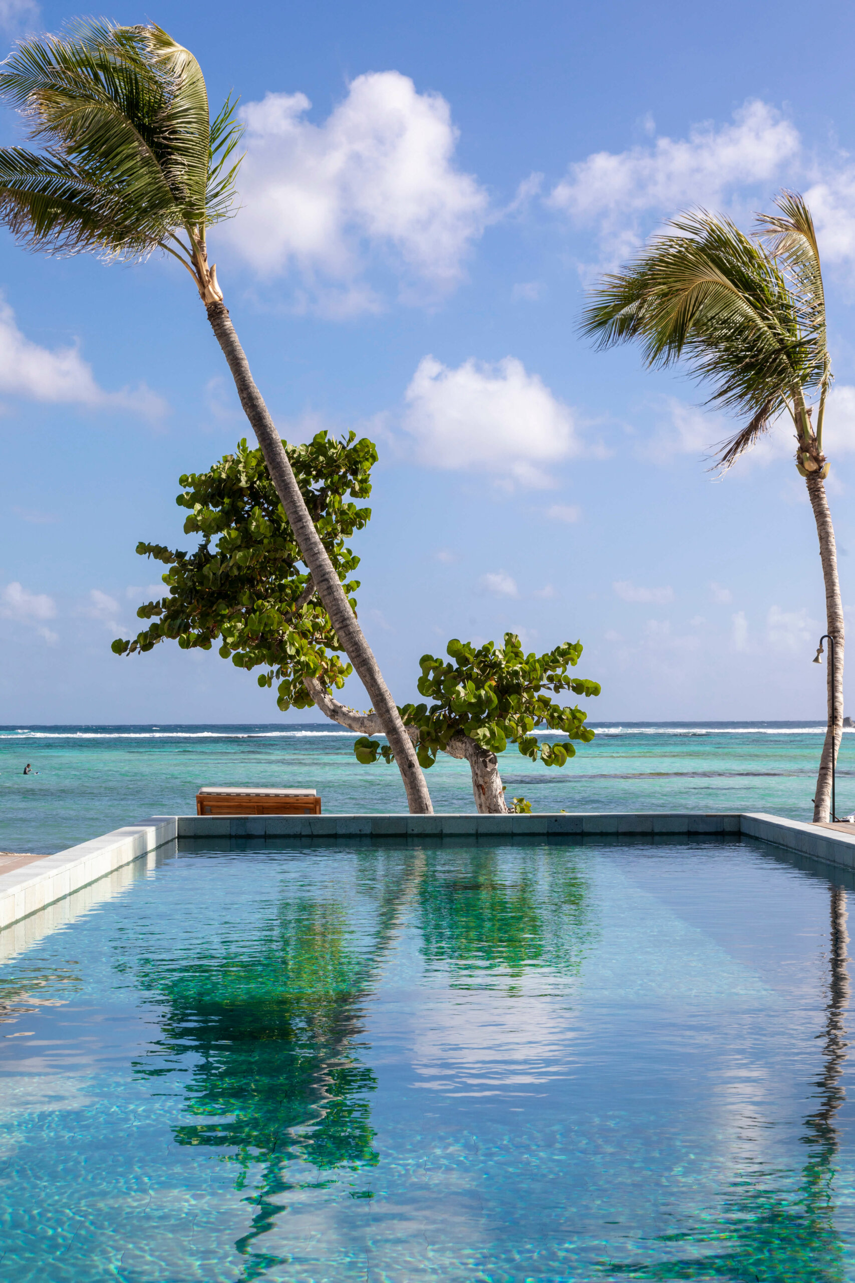 A Year In The Life Of Sereno | Sereno Hotels Blog