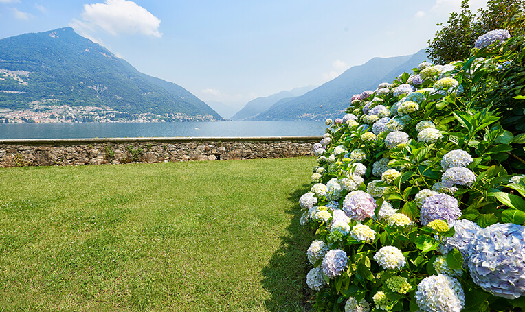 Jardin avec vue sur le lac de Côme